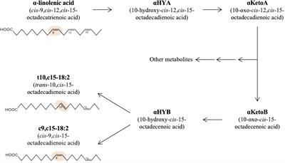 The omega-3 postbiotic trans-10-cis-15-octadecadienoic acid attenuates contact hypersensitivity in mice through downregulation of vascular endothelial growth factor A